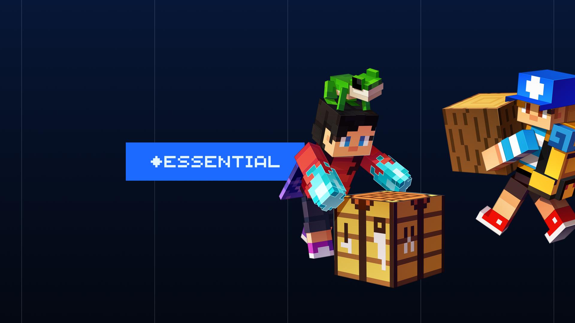 Thumbnail for the Relaunch Website Project for the Essential Minecraft mod.