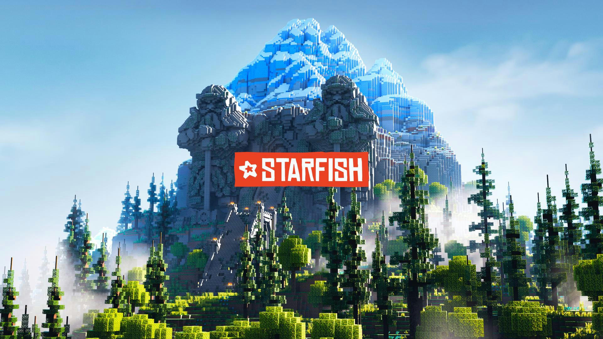 Starfish Branding and Webdesign project