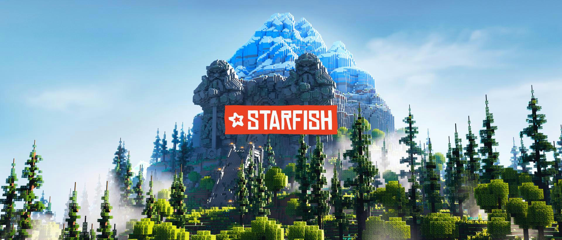 Starfish Branding and Webdesign project