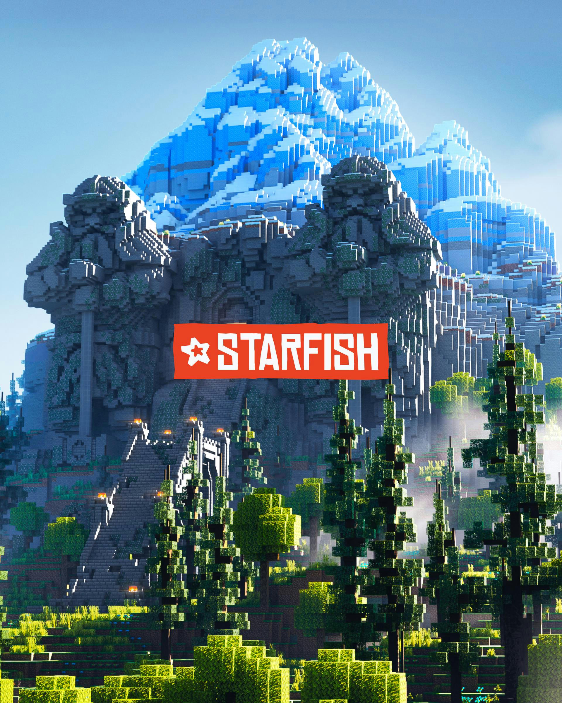 Starfish Branding and Webdesign project