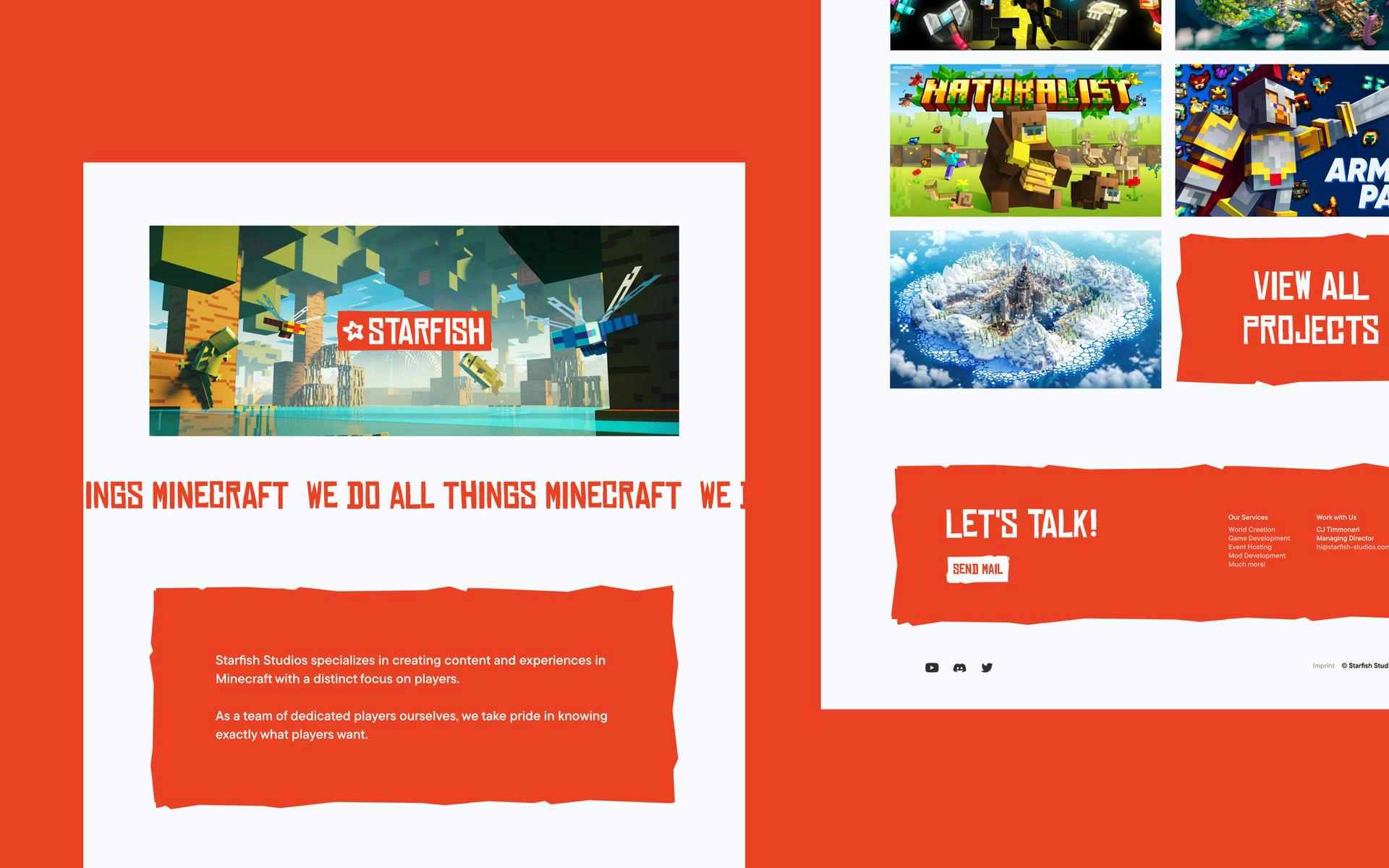 Starfish Branding and Webdesign project