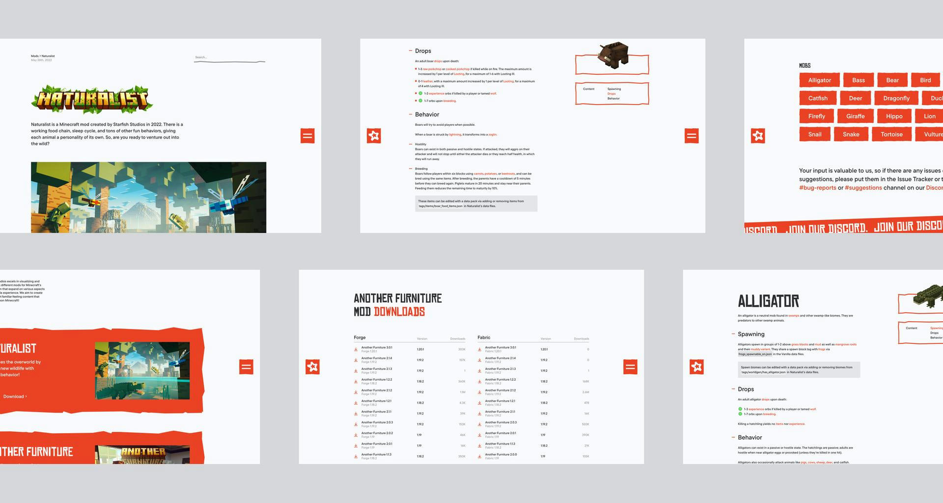 Starfish Branding and Webdesign project